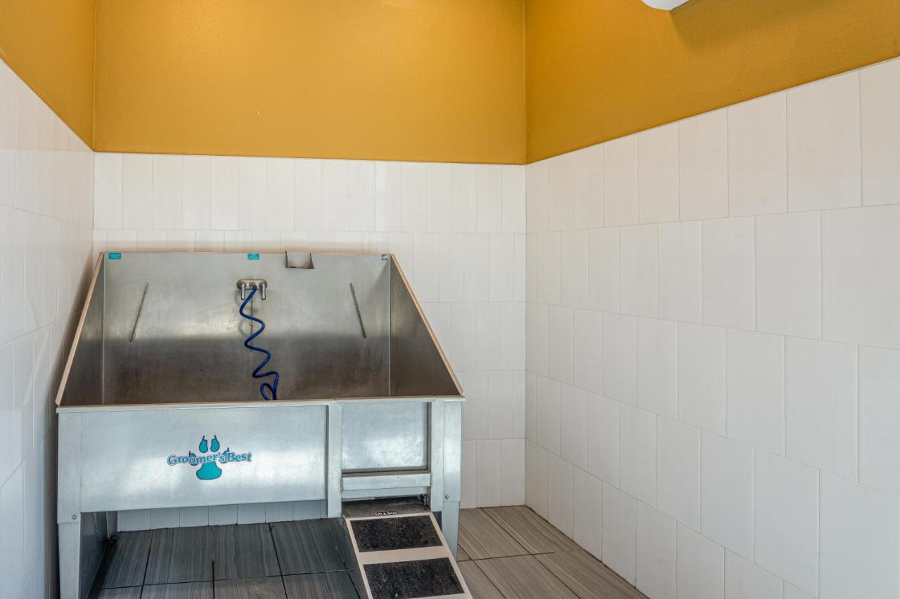 Apartamento Luxe 3B/2B Getaway - Pool, Gym, Parking, Pet Wash Leander Exterior foto